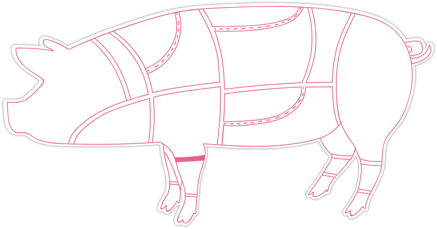 Pork Hock front
